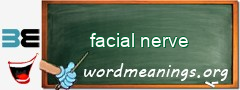 WordMeaning blackboard for facial nerve